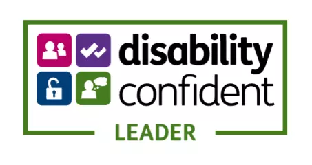 disability confident small