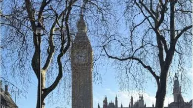 Photo of the Big Ben and Houses of Parliament taken from the Parliament Square Garden on a sunny day. 