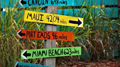 Signpost image