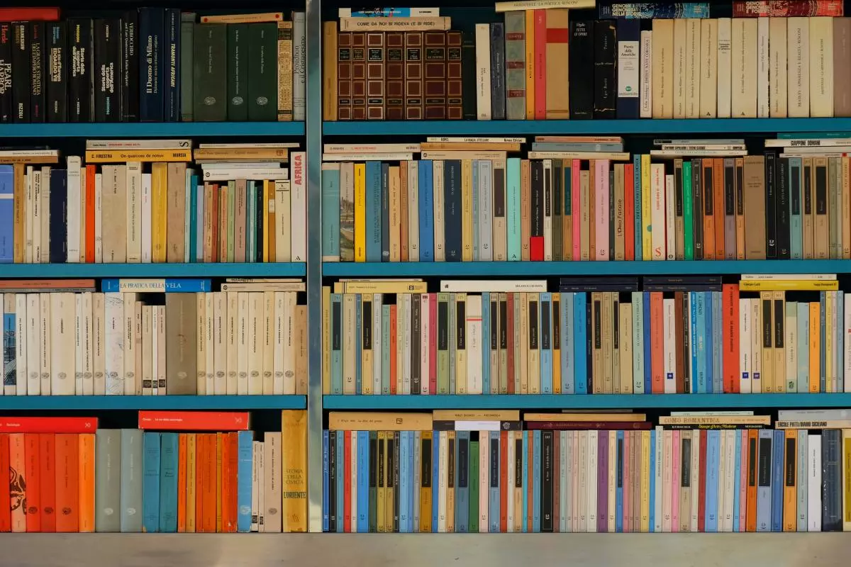 Bookcase full of books